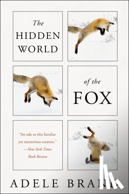 Brand, Adele - The Hidden World of the Fox