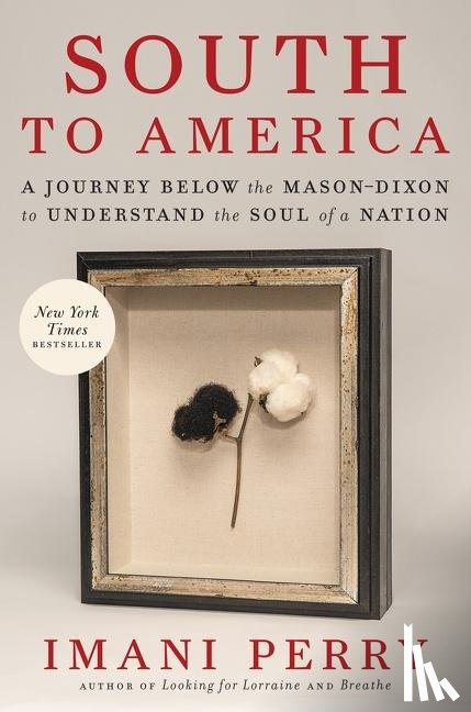 Perry, Imani - South to America