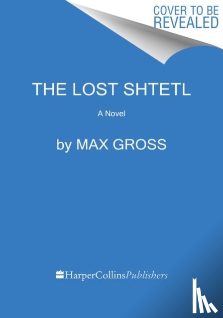 Gross, Max - The Lost Shtetl