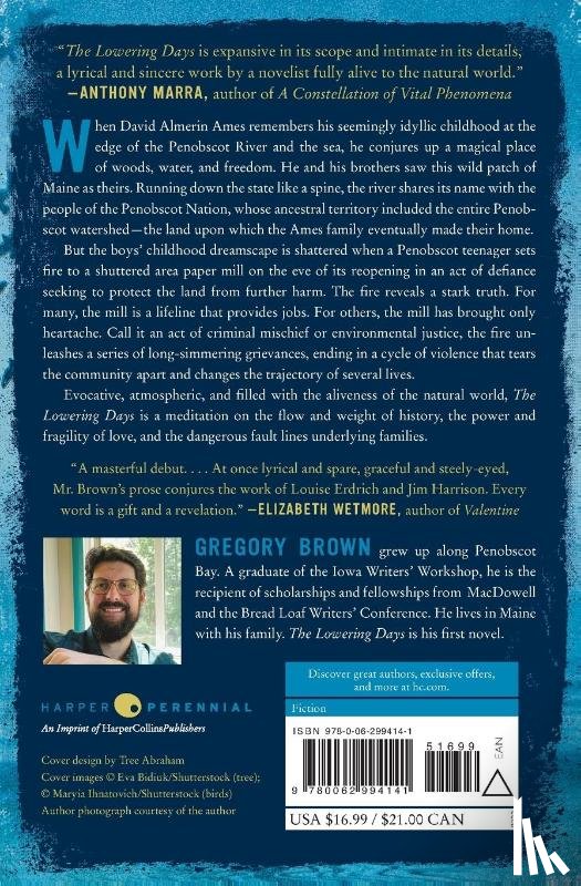 Brown, Gregory - The Lowering Days