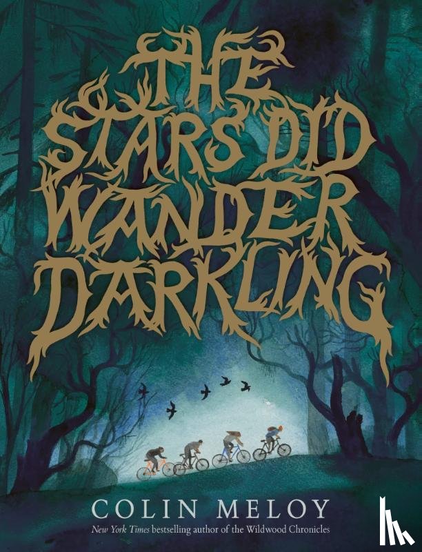 Meloy, Colin - The Stars Did Wander Darkling