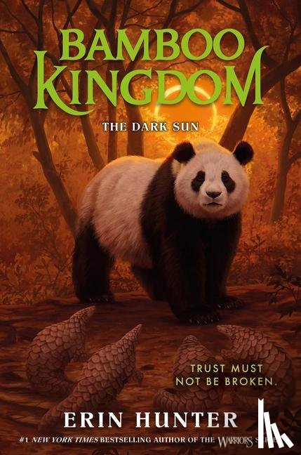 Hunter, Erin - Hunter, E: Bamboo Kingdom #4: The Dark Sun