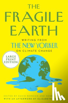 Remnick, David - FRAGILE EARTH -LP