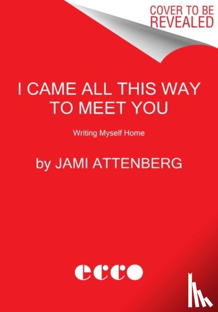 Attenberg, Jami - I Came All This Way to Meet You