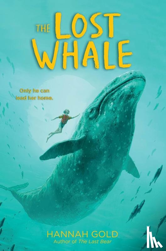Gold, Hannah - Gold, H: Lost Whale