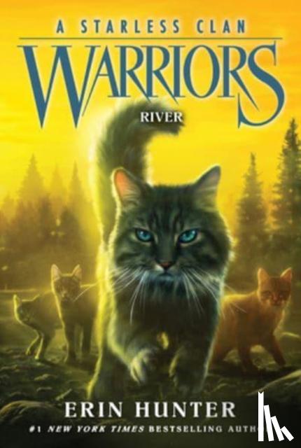 Hunter, Erin - Warriors: A Starless Clan #1: River