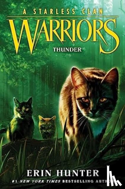 Hunter, Erin - Warriors: A Starless Clan #4: Thunder