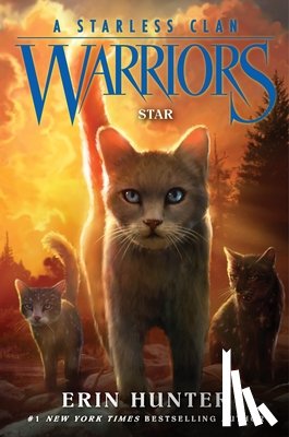 Hunter, Erin - Warriors: A Starless Clan #6: Star