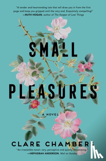 Chambers, Clare - Small Pleasures