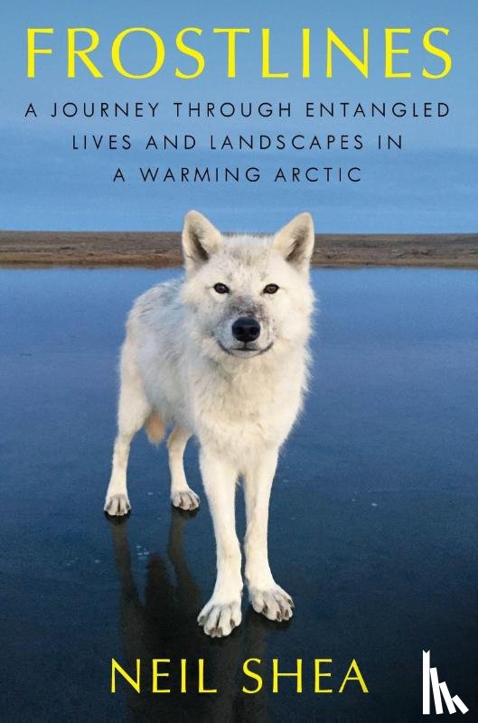 Shea, Neil - Frostlines