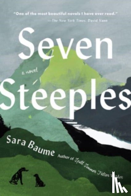 Baume, Sara - Seven Steeples