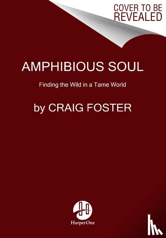 Foster, Craig - Amphibious Soul