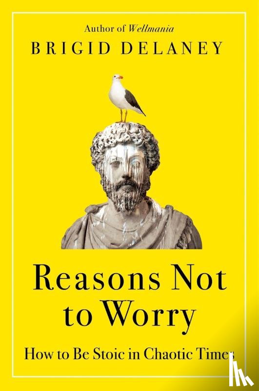 Delaney, Brigid - Reasons Not to Worry