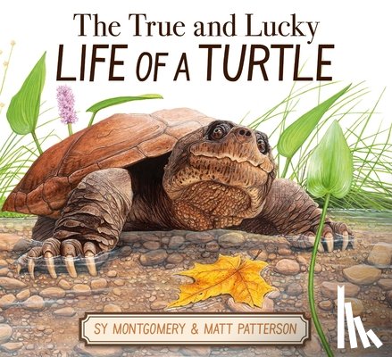 Montgomery, Sy - The True and Lucky Life of a Turtle