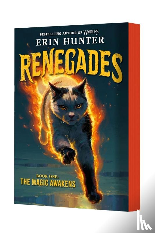 Hunter, Erin - Renegades #1: The Magic Awakens