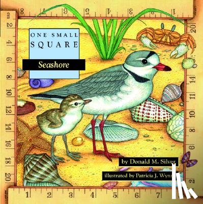 Silver, Donald, Wynne, Patricia - Seashore