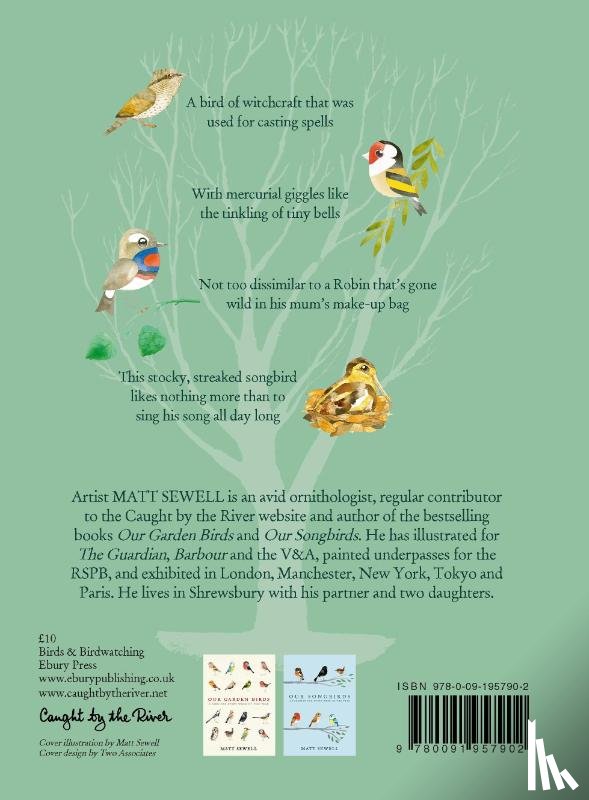 Sewell, Matt - Our Woodland Birds