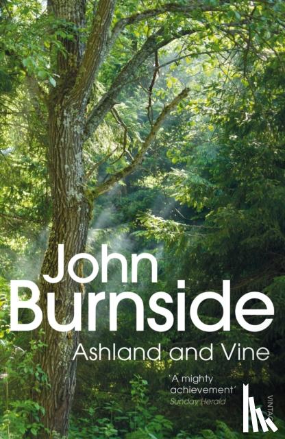 Burnside, John - Ashland & Vine