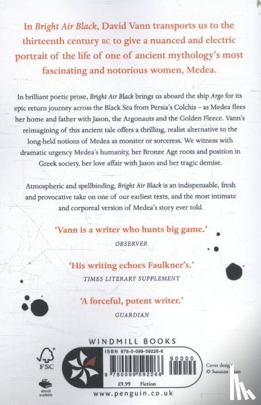Vann, David - Bright Air Black