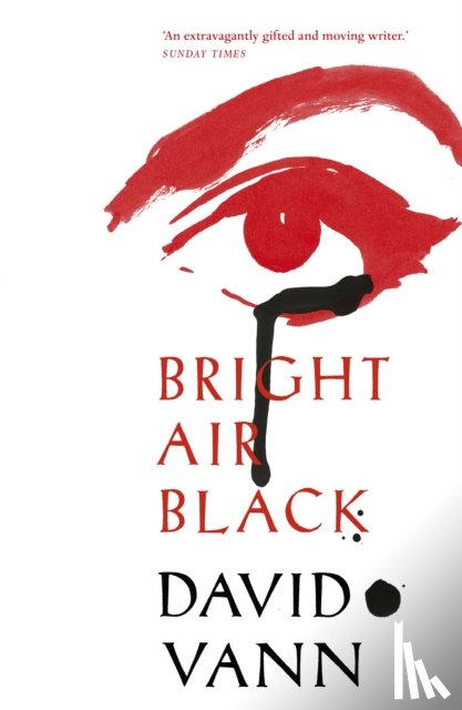 Vann, David - Bright Air Black
