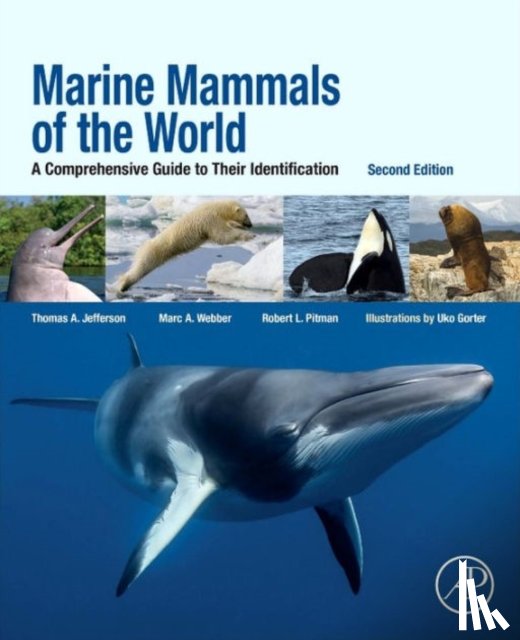 Webber, Marc A. (Golden Gate Cetacean Research, Jefferson, Thomas Allen, Pitman, Robert L. (NOAA Fisheries - Marine Mammals of the World