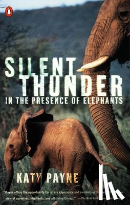 Payne, Katy - Silent Thunder