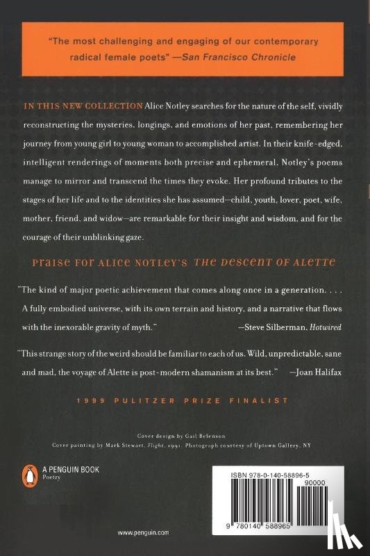 Notley, Alice - Mysteries of Small Houses