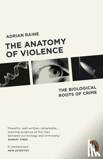 Raine, Adrian - The Anatomy of Violence