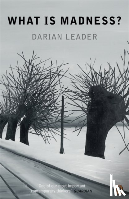Leader, Darian - What is Madness?