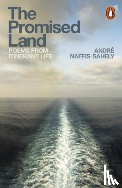 Naffis-Sahely, Andre - The Promised Land