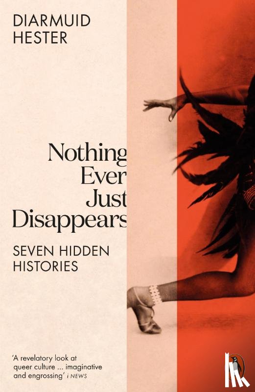 Hester, Diarmuid - Nothing Ever Just Disappears