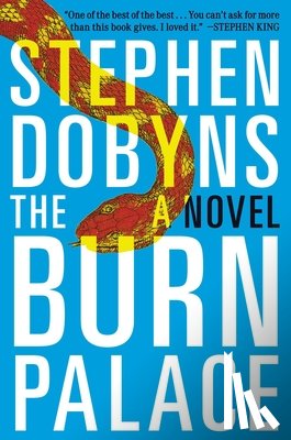 Dobyns, Stephen - The Burn Palace
