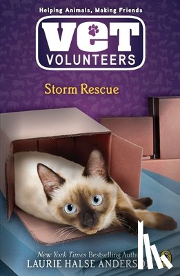 Anderson, Laurie Halse - Storm Rescue