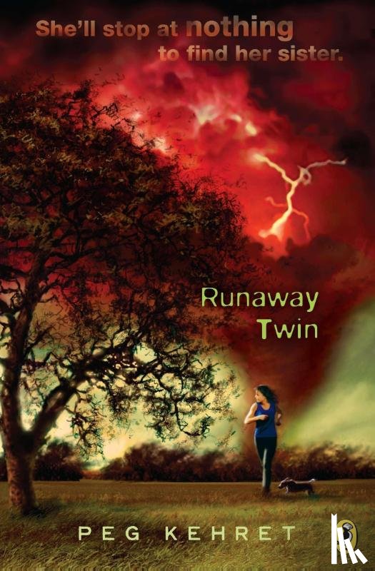 Kehret, Peg - Runaway Twin