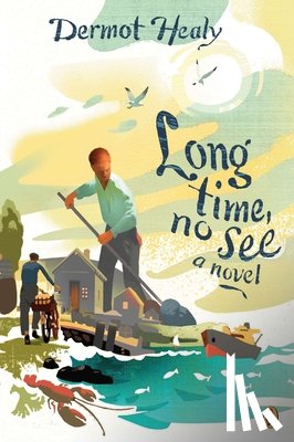 Healy, Dermot - Long Time, No See