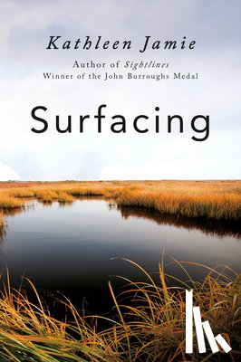Jamie, Kathleen - SURFACING