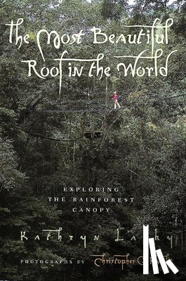 Kathryn Lasky, Lasky - The Most Beautiful Roof in the World