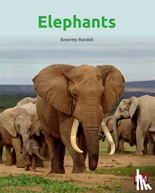 RANDELL, BEVERLEY - ELEPHANTS