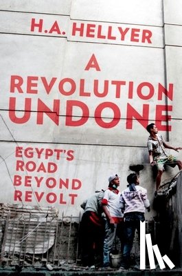 Hellyer, H. a. - A Revolution Undone: Egypt's Road Beyond Revolt