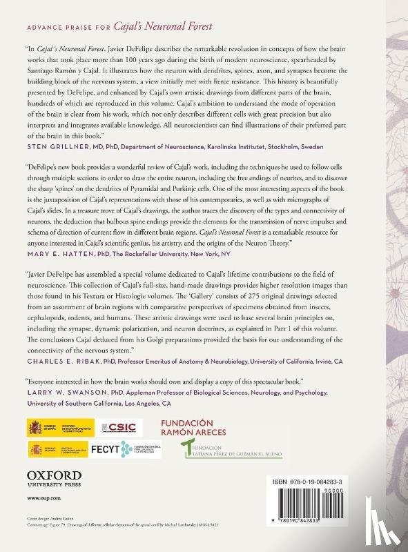 DeFelipe, Javier (Prof - Cajal's Neuronal Forest