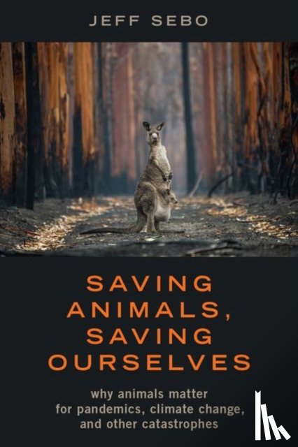 Sebo, Jeff (Clinical Associate Professor of Environmental Studies - Saving Animals, Saving Ourselves