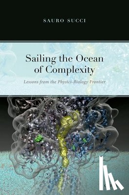 Succi, Sauro (Senior Research Executive and Principal Investigator - Sailing the Ocean of Complexity