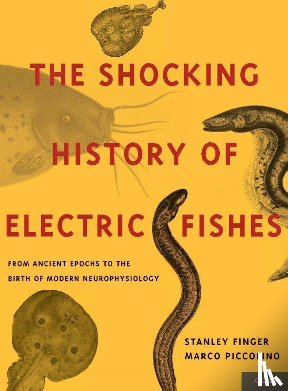 Finger, Stanley (Professor, Piccolino, Marco (Professor of General Physiology - The Shocking History of Electric Fishes