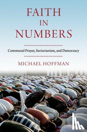 Hoffman, Michael (Assistant Professor - Faith in Numbers