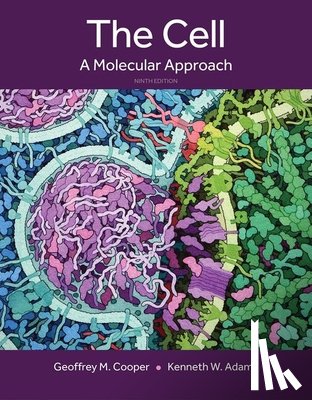 Cooper, Geoffrey, Adams, Kenneth - The Cell