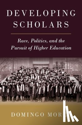 Morel, Domingo (Associate Professor of Political Science and Public Service - Developing Scholars