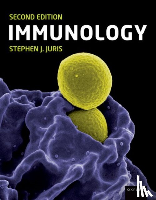 Juris, Stephen (Professor - Immunology