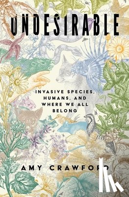 Crawford, Amy (Independent Scholar - Undesirable