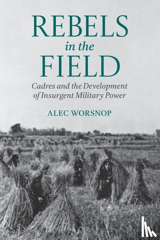Worsnop, Alec (Assistant Professor - Rebels in the Field