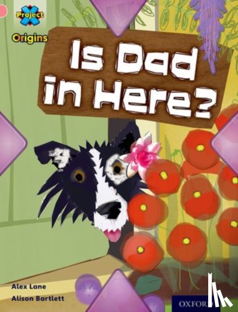 Lane, Alex - Project X Origins: Pink Book Band, Oxford Level 1+: My Family: Is Dad in Here?